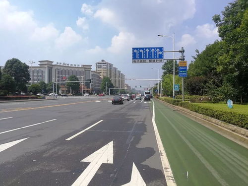 回應市民關切，龍洲路沿線路口交通設施迎升級，道路安全再添新保障