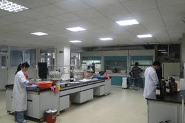 網(wǎng)購(gòu) 超越優(yōu)惠的信任橋梁——檢測(cè)服務(wù)的力量